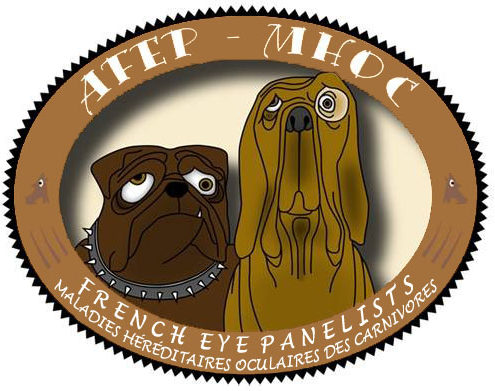 Logo_AFEP_MHOC